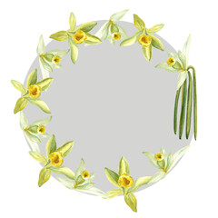 Vanilla orchid flowers and beans watercolor round frame isolated on white background. High quality hand drawn design element perfect for spice box, cafe menu, food packaging, recipes, label logo decor
