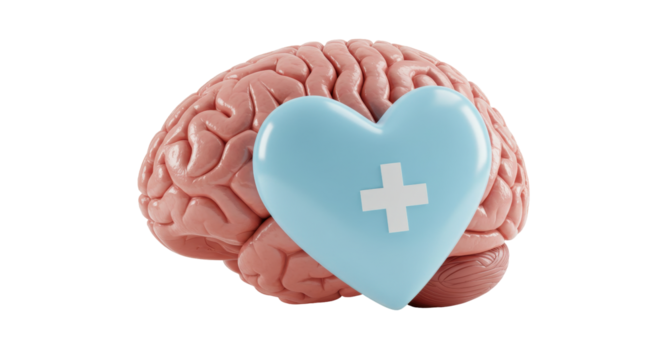Isolated Brain with Heart Shape Symbol