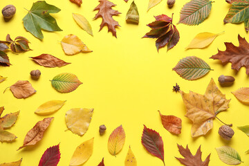 Frame made of beautiful fallen leaves, acorns and walnuts on yellow background