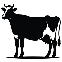 cow on white background
