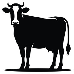 black and white cow