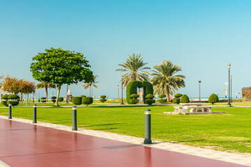 Obraz premium Kalba Corniche in Sharjah United Arab Emirates (UAE) on a beautiful day walking along the Gulf of Oman near the city. with beautiful yellow flowers