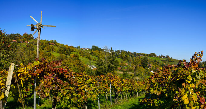 Schilcher Weinstrasse, Bad Gams, Steiermark, &Ouml;sterreich, 2015