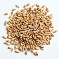 Wheat, white background,