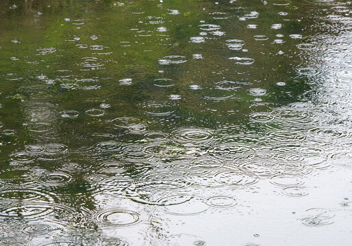「雨降り」の写真素材 | 6,664件の無料イラスト画像 | Adobe Stock