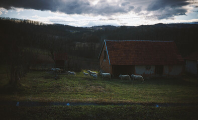Rural household at the beginning of spring in Serbia