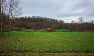 Rural household at the beginning of spring in Serbia