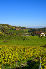 Schilcher Weinstrasse, Sankt Stefan ob Stainz, Steiermark, Öste