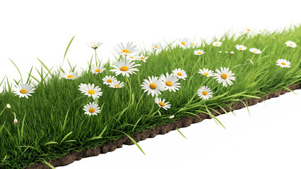 Fresh Green Grass Border with Blooming Daisies - AI Generated