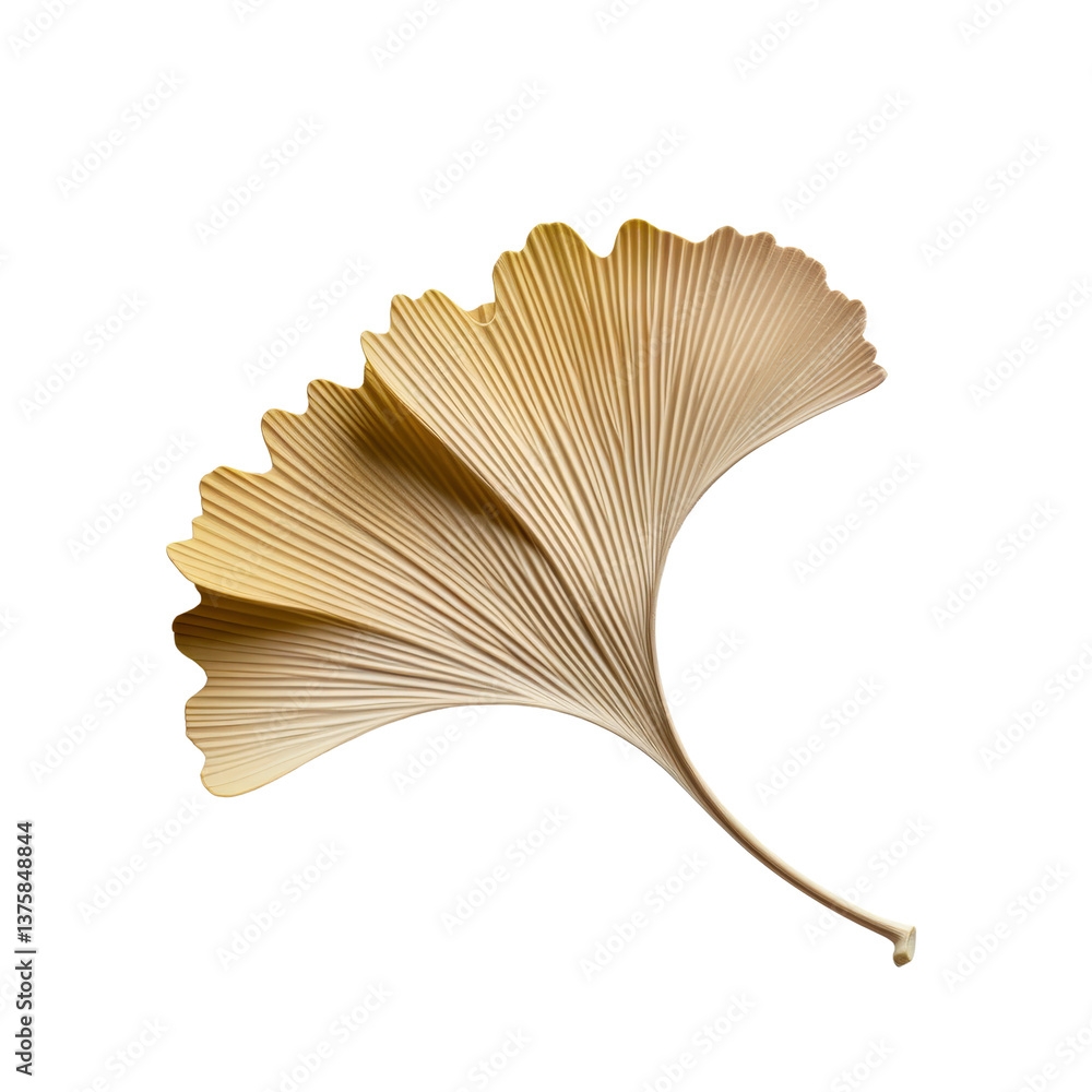 Poster Elegant Ginkgo Leaf Displaying Unique Fan-Shaped Design in Soft Beige Color and Texture