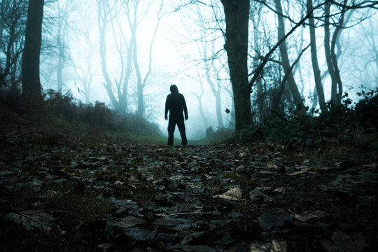 A strange creepy hooded figure standing in a forest on a spooky foggy winters day
