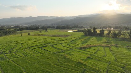 Obraz premium Aerial view of terraced agriculture field among greenery mountains with the blue cloudy and sunlight in the northern of Thailand, Omkoi district, Chiang Mai.