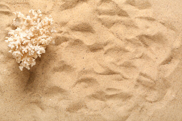 Beautiful coral on beach sand