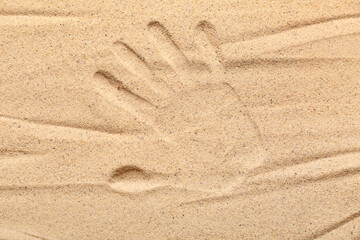 Palm print on beige beach sand