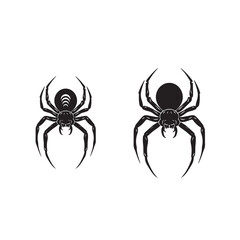 black spider isolated on white
