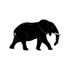 Silhouette of an elephant on a white background. Massive body, long trunk, big ears and strong legs. An image of strength, greatness and wisdom.