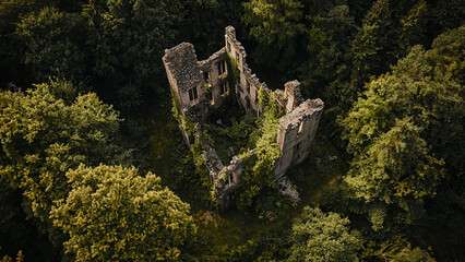 Aerial drone view of a castle ruin overtaken by nature