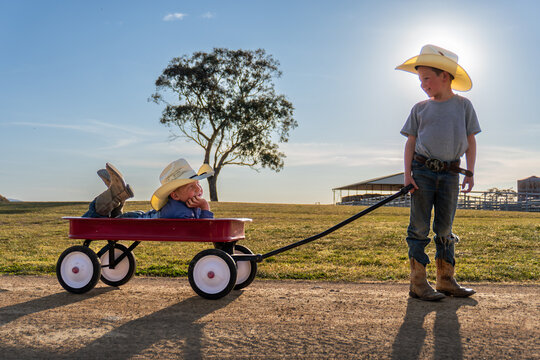 Two brothers pulling each other in a little red wagon