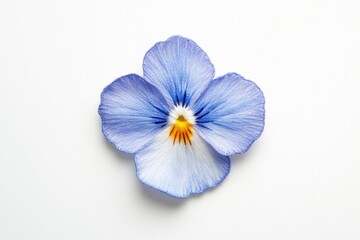 Obraz premium A delicate blue pansy flower with intricate details, elegantly presented against a white backdrop.