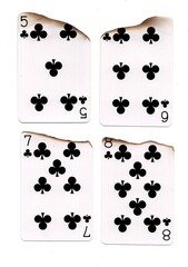 A hand of burnt playing cards in the suit of clubs.
