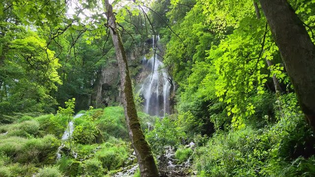 Der Wasserfall in Bad Urach, eingebettet in eine &uuml;ppige gr&uuml;ne Waldlandschaft. Das Wasser str&ouml;mt &uuml;ber eine Felswand hinab und bildet unten einen kleinen Pool, umgeben von moosbedeckten Steinen.