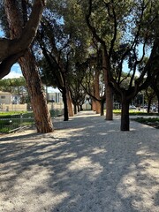 alley in the park