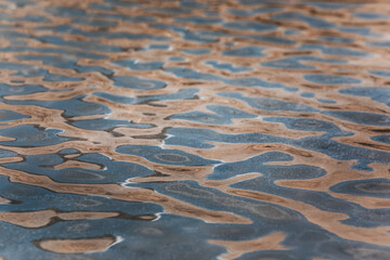 landscape and nature photograph shot during a summer journey in canada, with lakes, rocky mountains, animals and clouds through wide pine tree forests