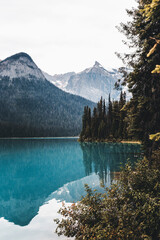 Obraz premium landscape and nature photograph shot during a summer journey in canada, with lakes, rocky mountains, animals and clouds through wide pine tree forests