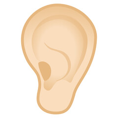Ear
