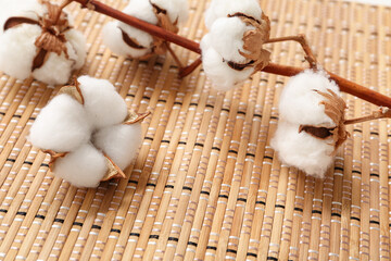 Cotton branch on bamboo mat, closeup
