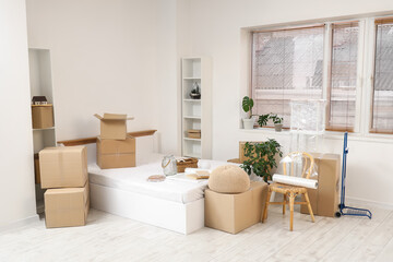 Cardboard boxes with big bed, houseplants and shelving units in bedroom on moving day