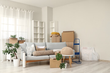 Cardboard boxes with grey sofa, shelving units and houseplants in living room on moving day
