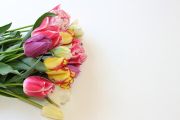 明るく色鮮やかなチューリップの花束。白バックで八重咲き、フリル咲きなど色々な品種でアレンジ