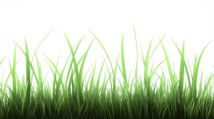 Fototapeta premium Lush Green Grass Blades Isolated on White Background Perfect for Nature Designs Spring Summer Theme