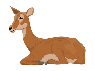 Female Antelope Cob lying down. Mammals of Central Africa. realistic vector animals