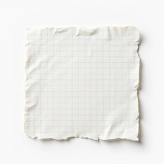 Blank Square Piece of Graph Paper on a White Background