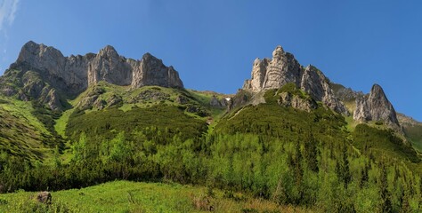 Panorama of spring mountain landscape with limestone rocks and lush green forest, blue sky. Spring hiking in the mountains, nature reserve. High Tatras, Medodoly, Predne Jatky, Belianske Tatras.