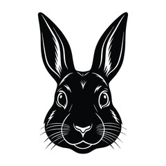 bunny, cartoon, cute, vector, illustration, ears, floppy, animal, rabbit, adorable, character, design, art, graphic, happy, playful, funny, sweet, whimsical, childish, drawing, mascot, clipart, isolat