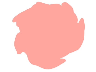 hand drawn illustration of flower pink