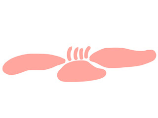 hand drawn illustration of flower pink
