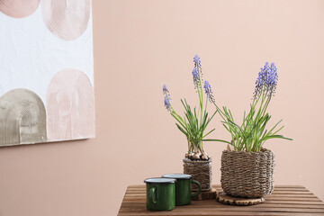 Beautiful Muscari flowers with mugs on table near beige wall