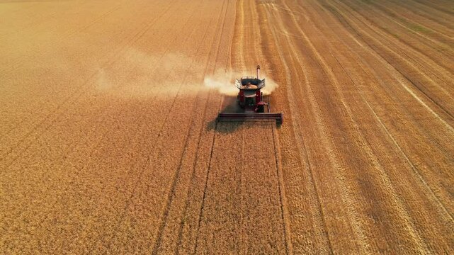 Aerial view of Combine which harvester harvests wheat at sunny day. Agricultural concept.Field machinery landscape.	
