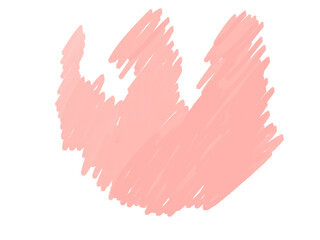 illustration of flower pink tulip