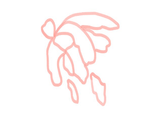 hand drawn illustration of flower pink