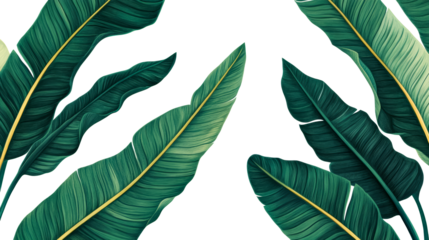 Tropical leaves with golden stems, exotic jungle foliage, cut out transparent