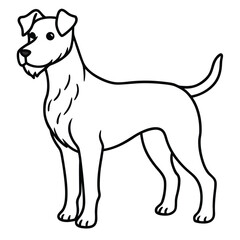 black and white dog