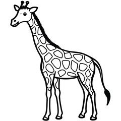 giraffe isolated on white background