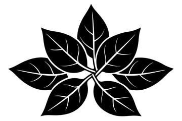 black and white flower