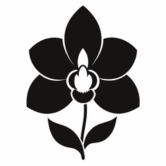 black and white flower