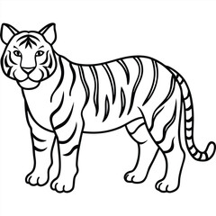 Cartoon tiger and zebra in a wild safari illustration